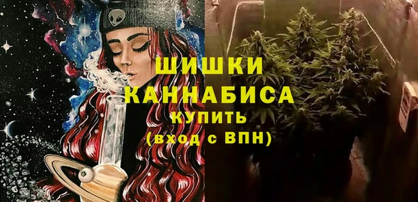 ПСИЛОЦИБИНОВЫЕ ГРИБЫ Баксан
