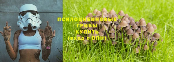 МДПВ Балахна
